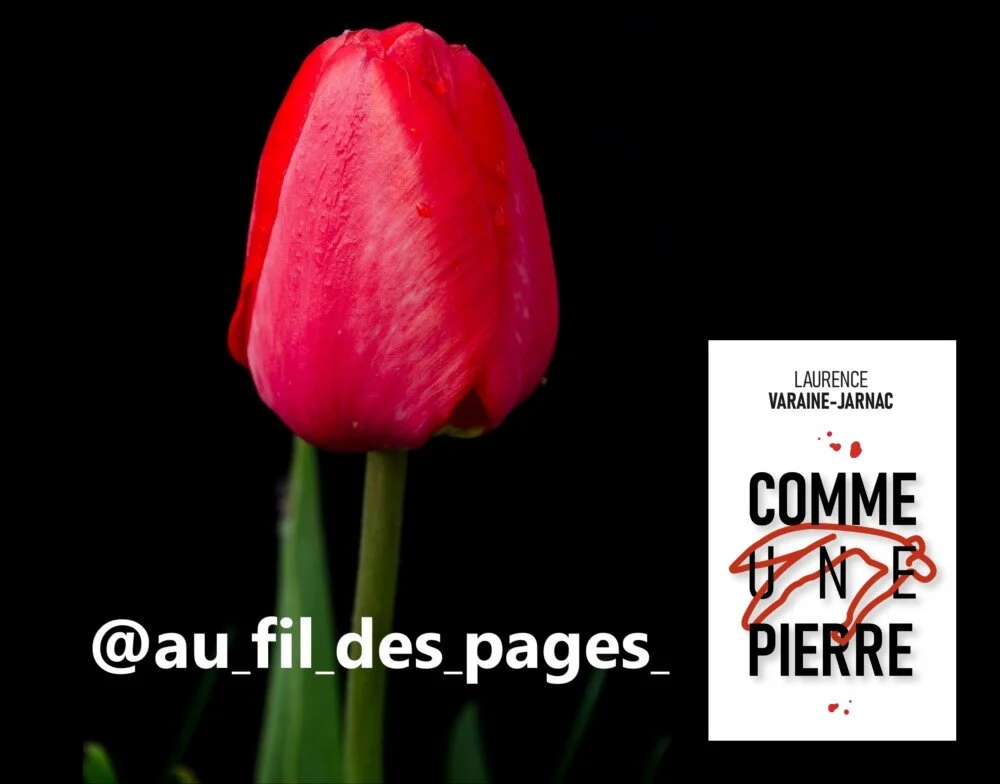 CHRONIQUE de @au_fil_des_pages_