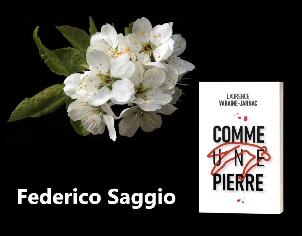 CHRONIQUE de Federico Saggio 
