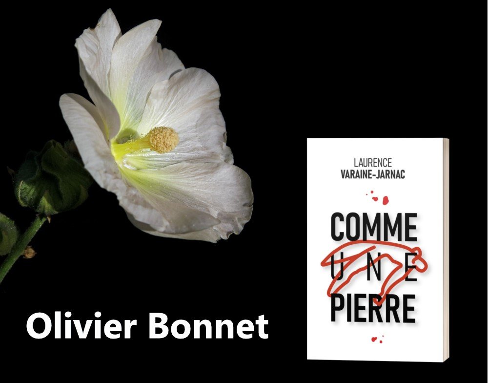 CHRONIQUE d'Olivier Bonnet