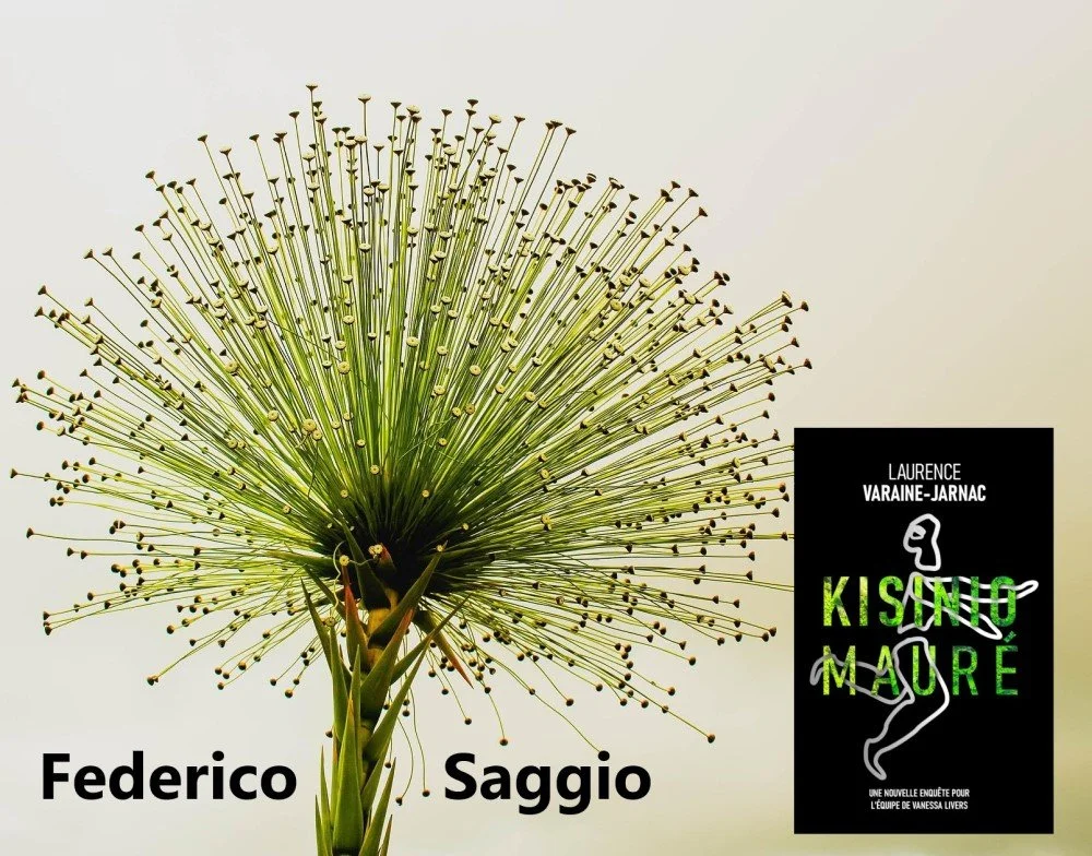 CHRONIQUE de Federico Saggio