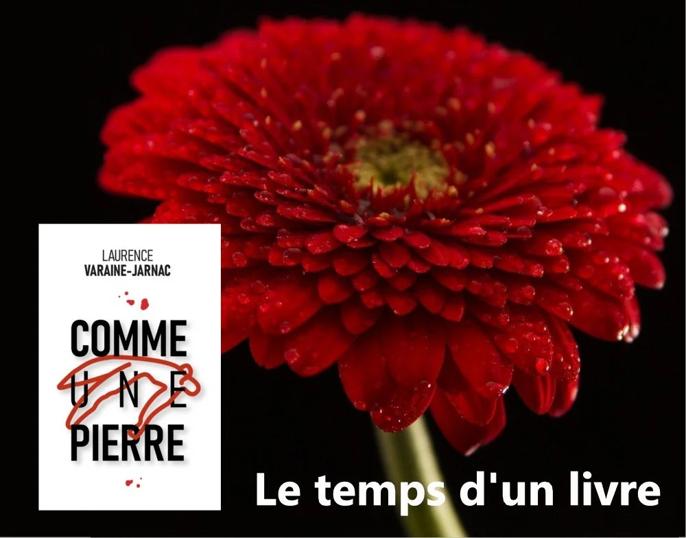 CHRONIQUE Le temps d'un livre