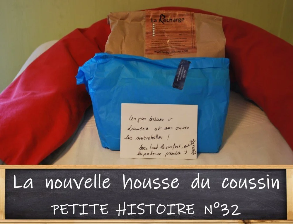 PETITE HISTOIRE N°32