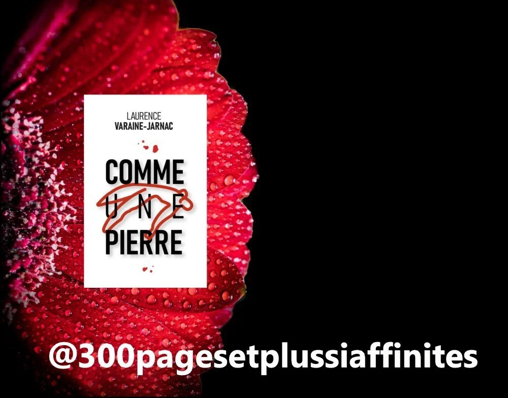 CHRONIQUE  de @300pagesetplussiaffinites