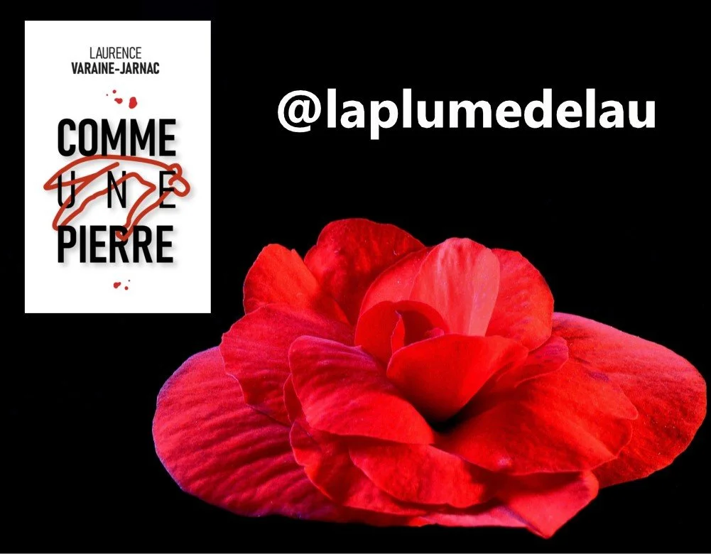 CHRONIQUE de @laplumedelau