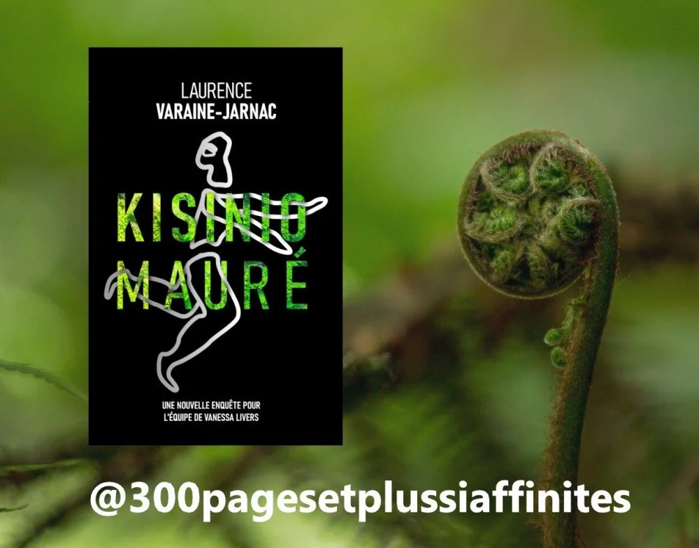 CHRONIQUE de @300pagesetplussiaffinités