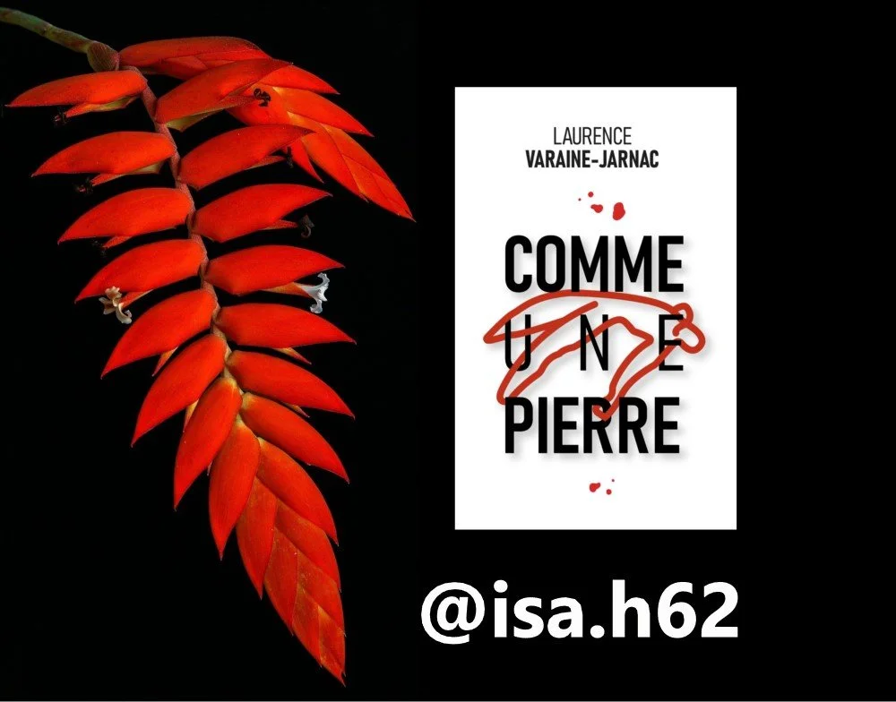 CHRONIQUE de @isa.h62