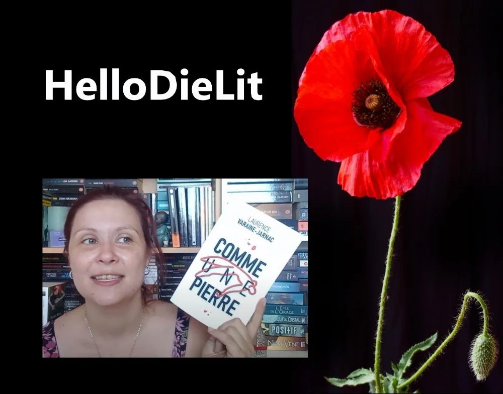 CHRONIQUE VIDÉO  de HelloDieLit