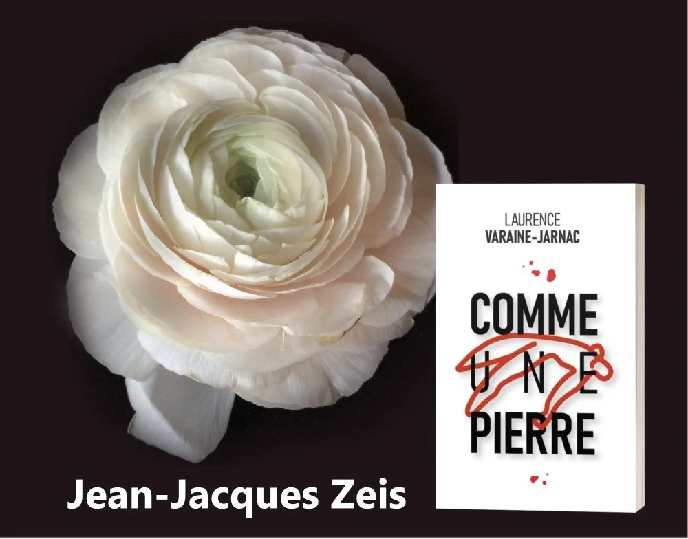 CHRONIQUE de Jean-Jacques Zeis