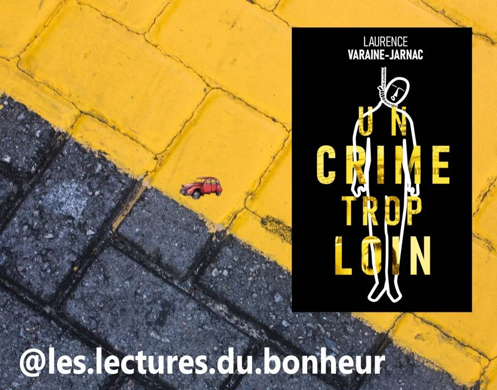 CHRONIQUE de @les.lectures.du.bonheur