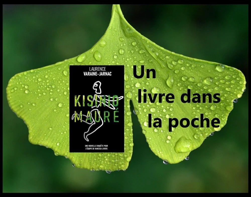 CHRONIQUE du blog Un livre dans la poche