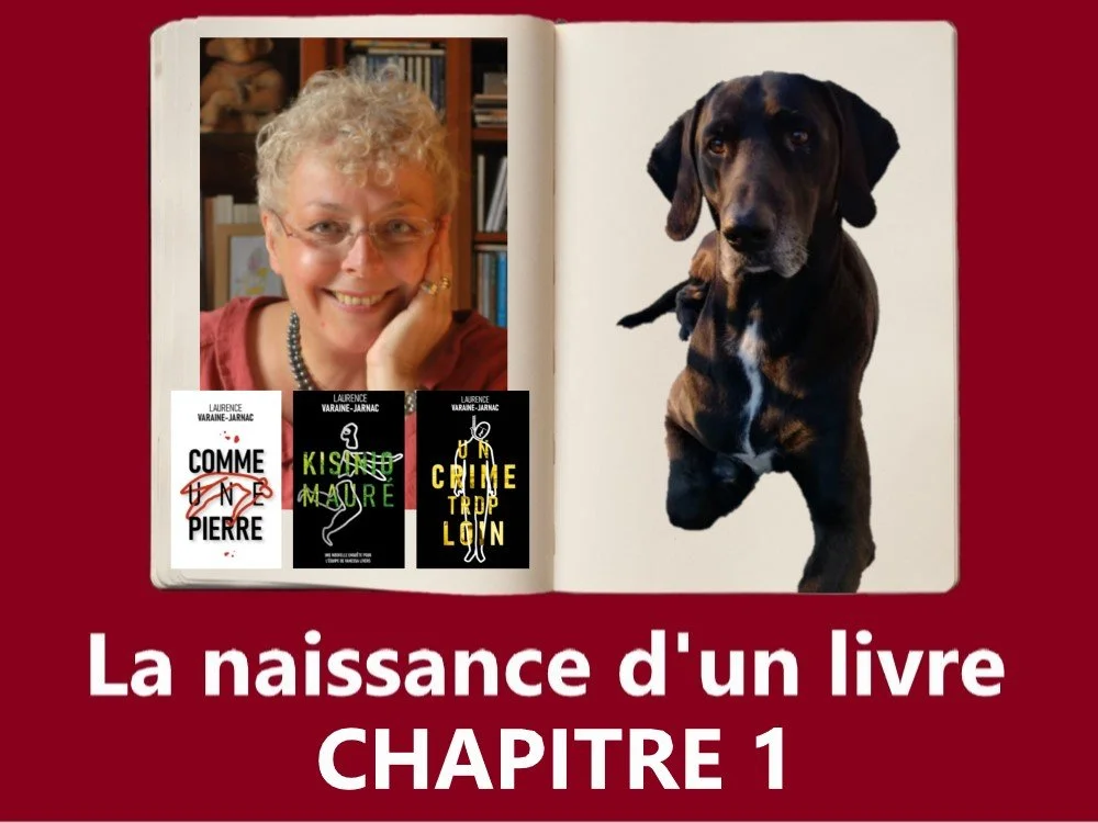 La naissance d'un livre - Chapitre 1