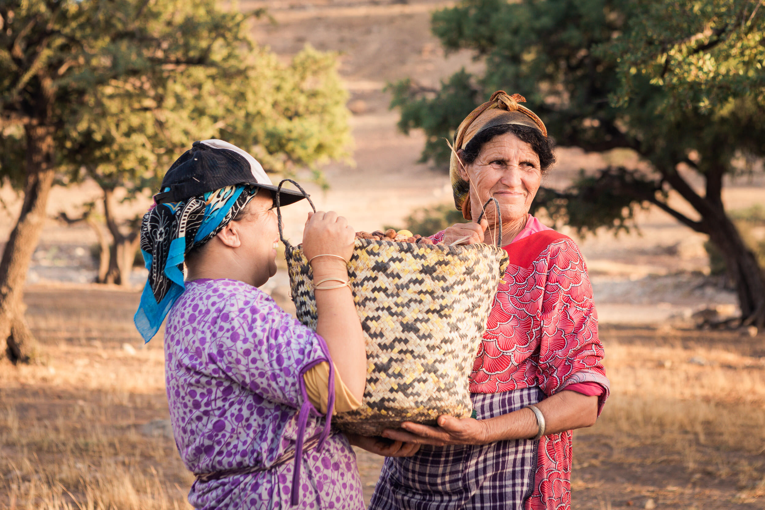 Bringing in the Harvest