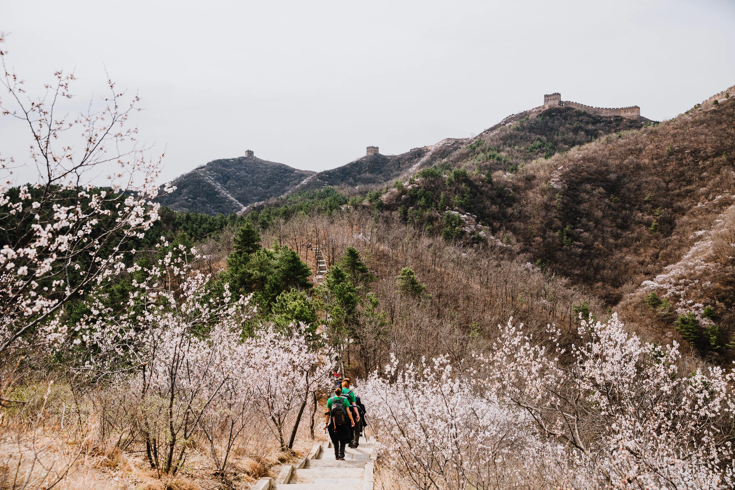 201904-Charity_Challenge-Great_Wall_Trek-China_@PhotoAmmon-0004.jpg