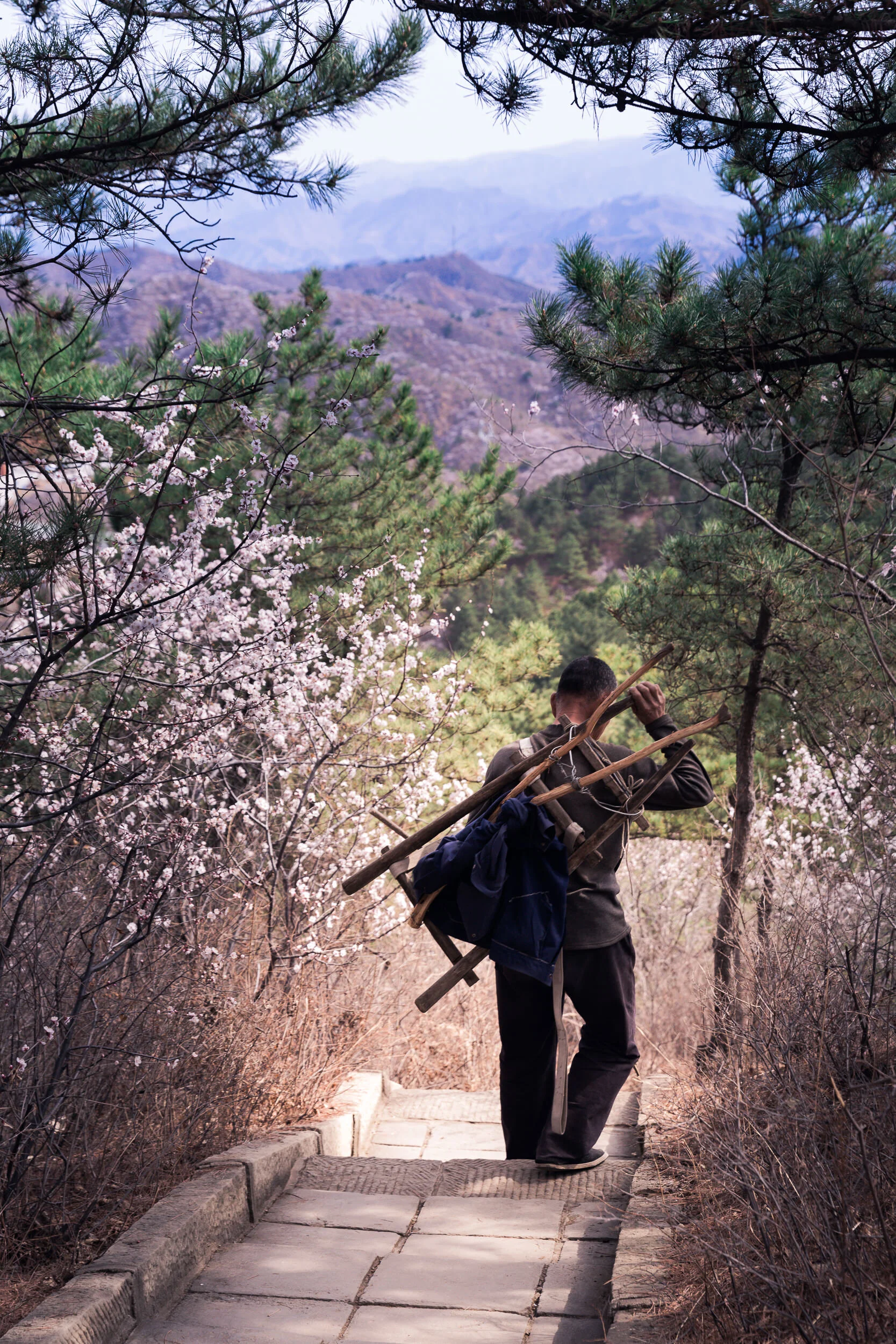 201904-Charity_Challenge-Great_Wall_Trek-China_@PhotoAmmon-0008.jpg