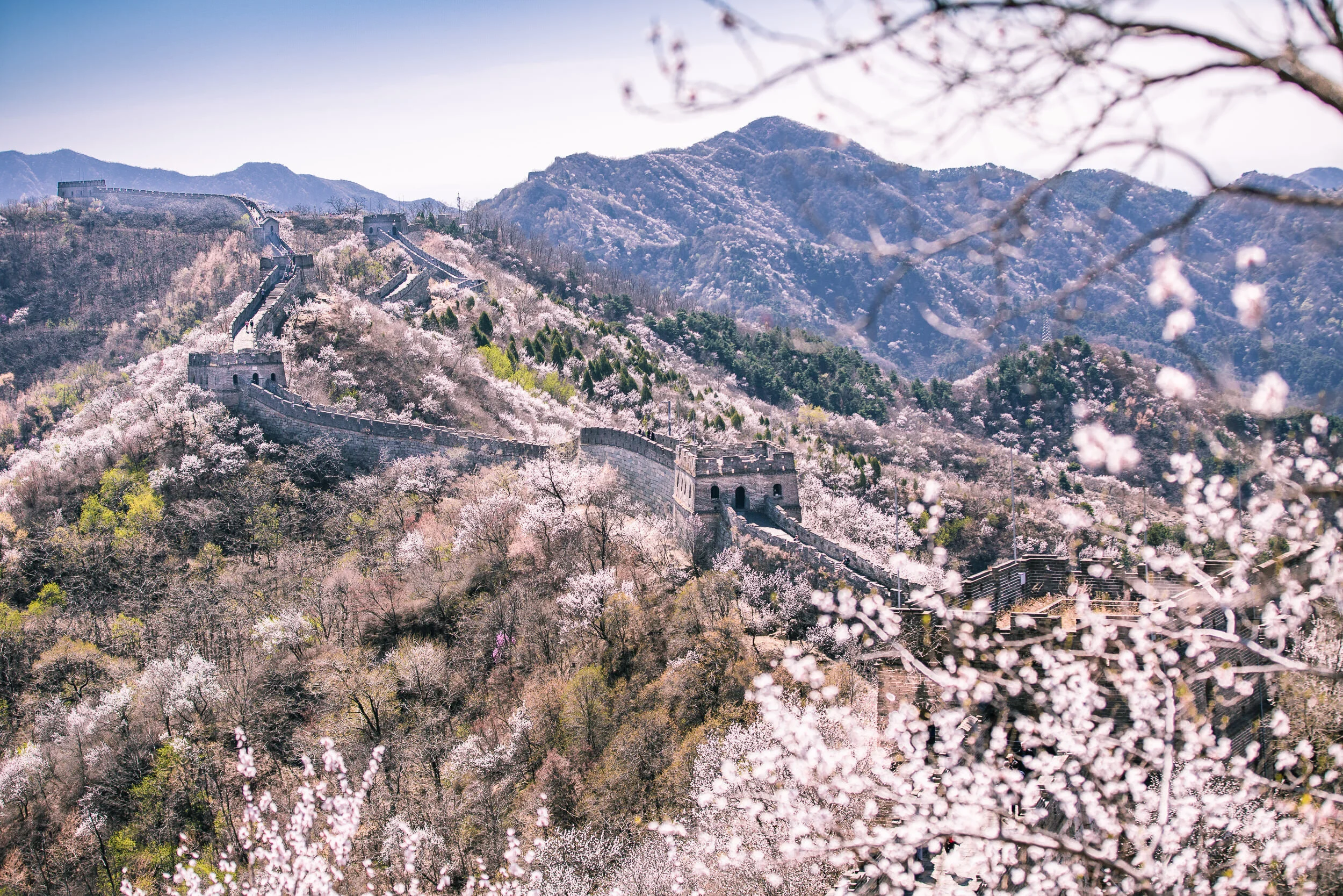 201904-Charity_Challenge-Great_Wall_Trek-China_@PhotoAmmon-0015.jpg