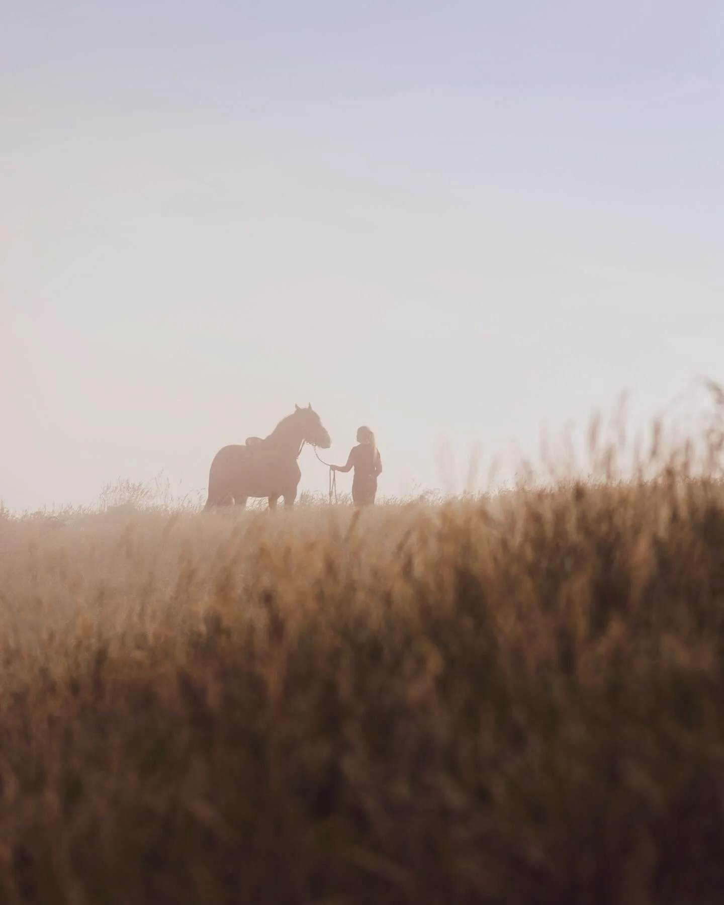 A girl and her horse

While shooting bts on the film set of King of the Iron Will, I turned around to get a wider shot of the action, when I saw this beautiful moment unfolding in the fog behind me.

@aquamarshall with her horse, Destiny. 🐴

#KingOf