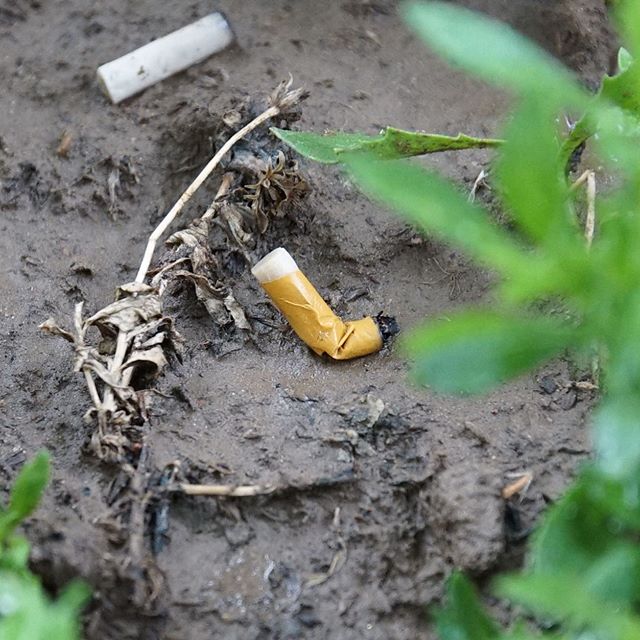 Every single butt can pollute 500Liters of water.💧 65% of the almost 6 trillion cigarettes smoked end up in nature. 🌱🌿 Did you know that ? 
Because I didn't . . .

Based on the facts from the @who  @plasticsoupfoundation  and @surfrider  About the