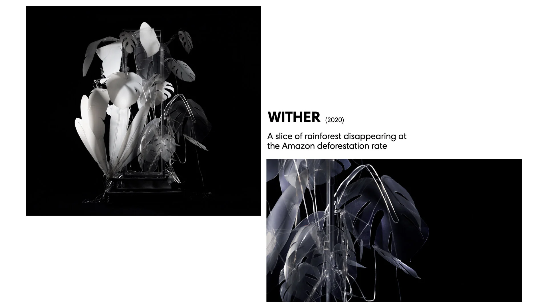 Wither website.001.jpeg