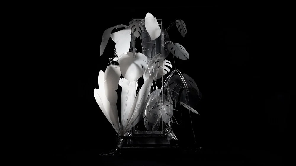 Release new artwork 'Wither'