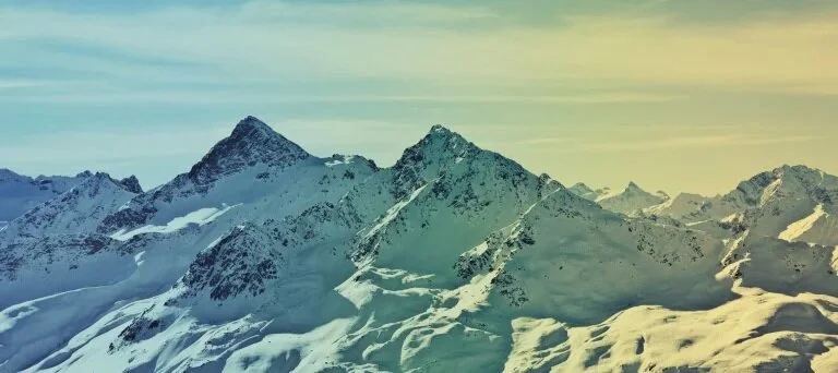 Talk at World Economic Forum Davos 2020