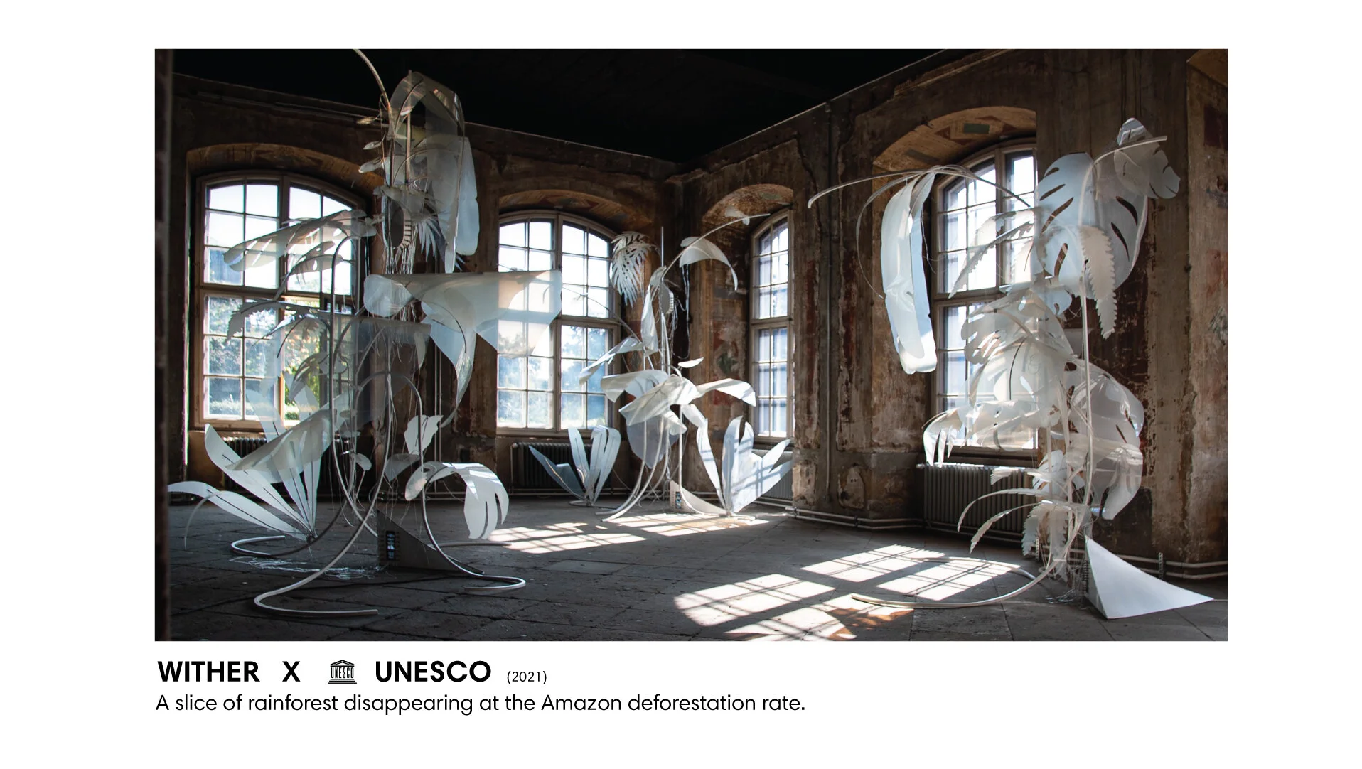 Wither-Dreesden-unesco-data-0deforestation-thijsbiersteker.jpg