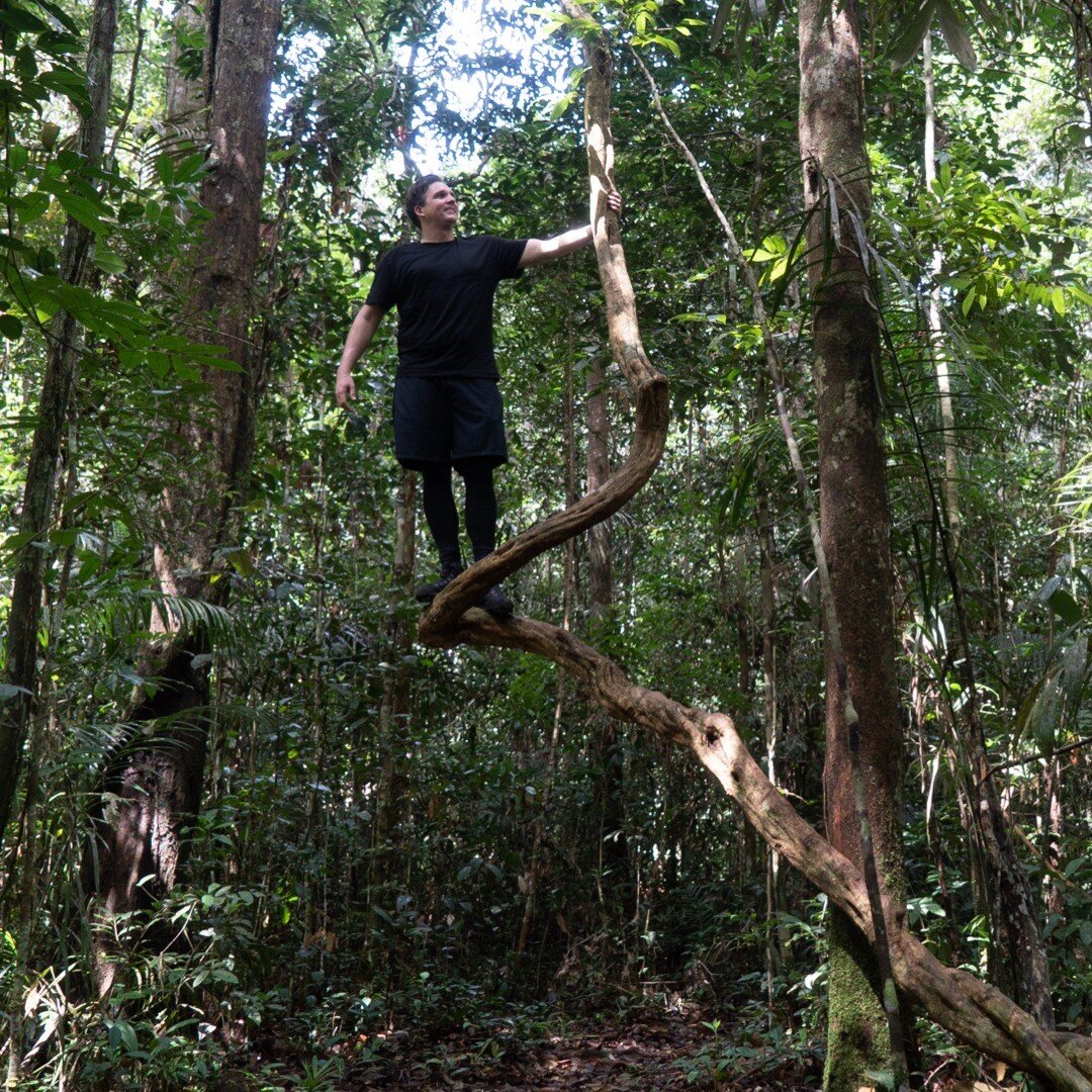 A dream came into reality.✨ Last week, I ventured into the Amazon alongside passionate scientists and conservationists from @unesco and @lvmh 

Years spent crafting art installations inspired by Amazon deforestation, and now, I've witnessed the rainf