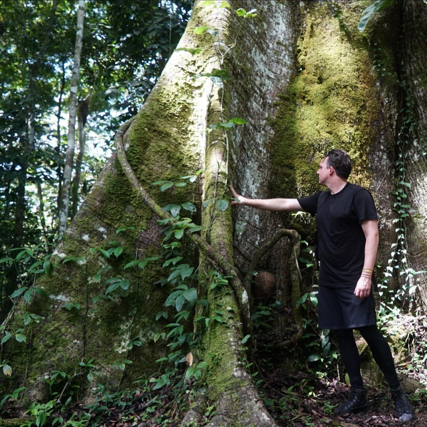 I wouldn't call myself a tree hugger, but my appreciation for these incredible beings has only grown over the years. 🌱🌳🌱
during this venture into the Amazon alongside passionate scientists and conservationists from @unesco_mab and @lvmh , I encoun