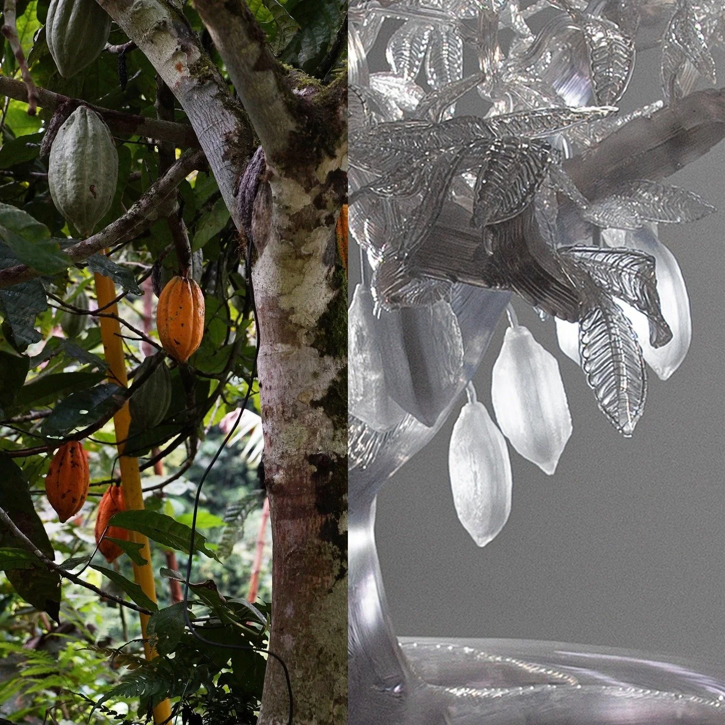 Technically this one was a challenge, how do you connect two parts of the world, while being in a third place with our team of @woven_studio_ 

Origin uses environmental sensors to create a direct data bridge between a cacao tree in Java, Indonesia, 