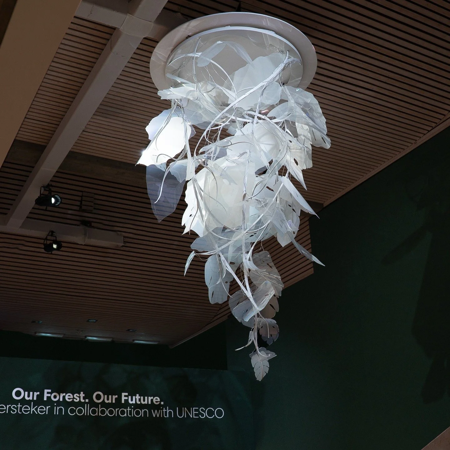 There she is. 

Giving forests a voice at the centre of the @worldeconomicforum.

I just realised how bold a statement the #WEF26 is making by placing my new work at the heart of the Forum. 

Where global conflict and AI dominate the agenda, and worl