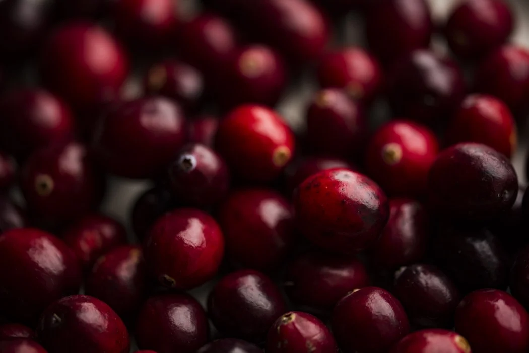 Top 5 power foods for your kidneys