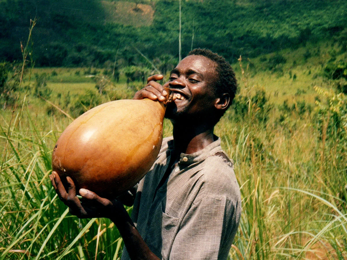 refreshing palm wine | Nick Hobgoo d | wikimedia commons