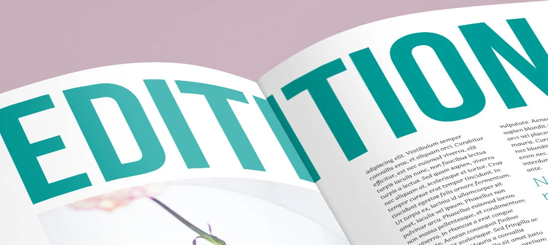 entete_brochures.jpg