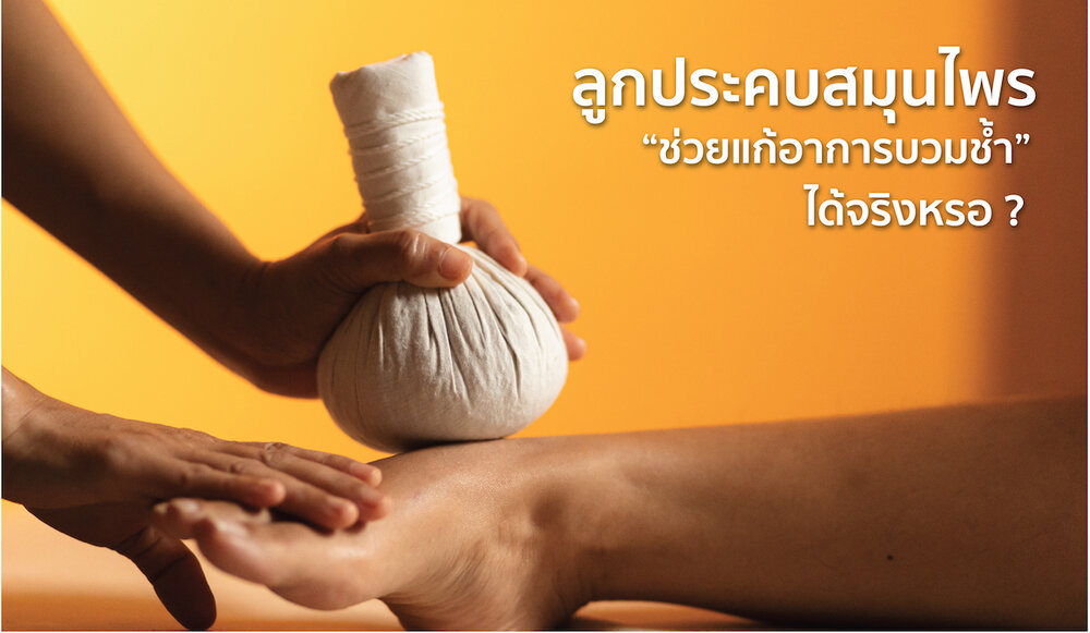 Plantdayspa I Thai Massage And Wellness Spa I นวดและสปา นวดหน้า ร้านนวดเพื่อสุขภาพ  นวดกดจุด นวดแผนไทย นวดผ่อนคลาย