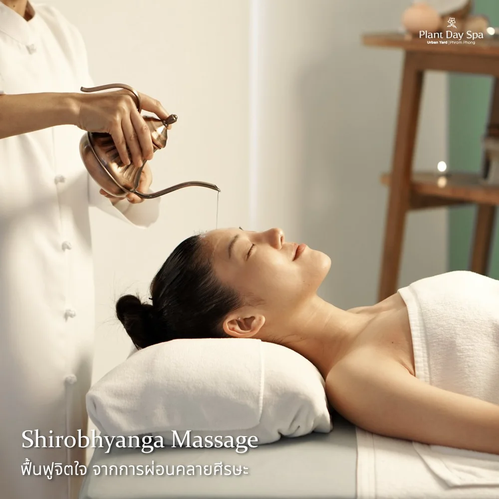 PLANTDAYSPA I Organic Thai Massage And Wellness Spa I นวดและสปา นวดหน้า ร้าน นวดเพื่อสุขภาพ นวดกดจุด นวดแผนไทย นวดผ่อนคลาย Plantdayspa I Organic Thai Massage And Wellness Spa I นวดและสปา นวดหน้า ร้าน นวดเพื่อสุขภาพ นวดกดจุด นวดแผนไทย นวดผ่อนคลาย