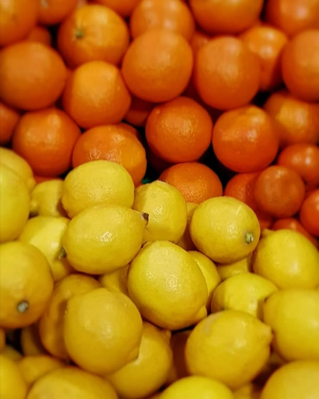 Come down to the Havens Community Hub anytime from 9am - 1pm today (19/03/2021) to grab some oranges, lemons and other items to help reduce food waste

2a Thompson Road BN9 0RS

#lemon #orange #fruit #citrus #reducereuserecycle #reducewaste #repurpos