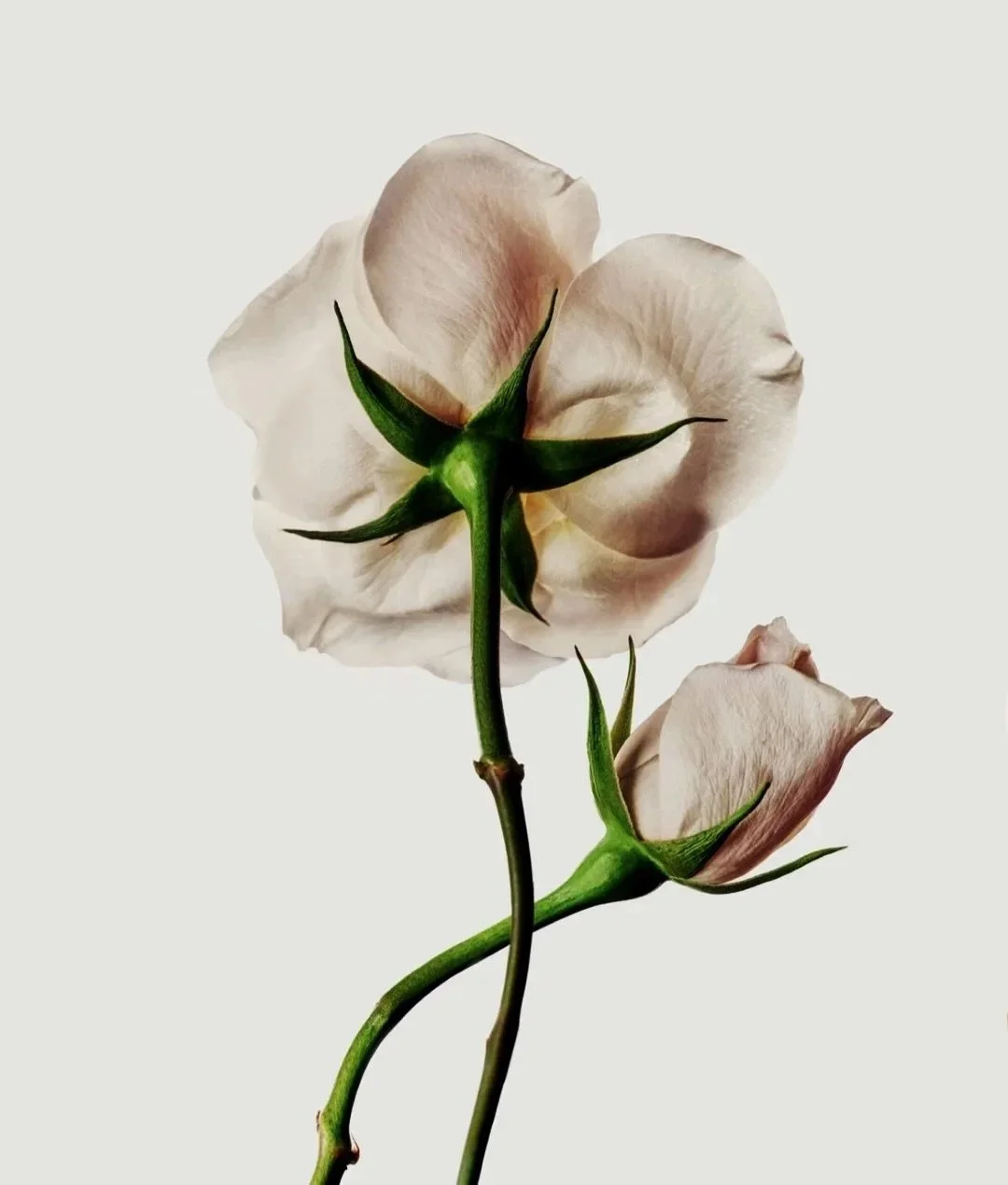 Stories pour été 2024-4.jpg