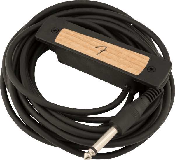 cypress (3).png