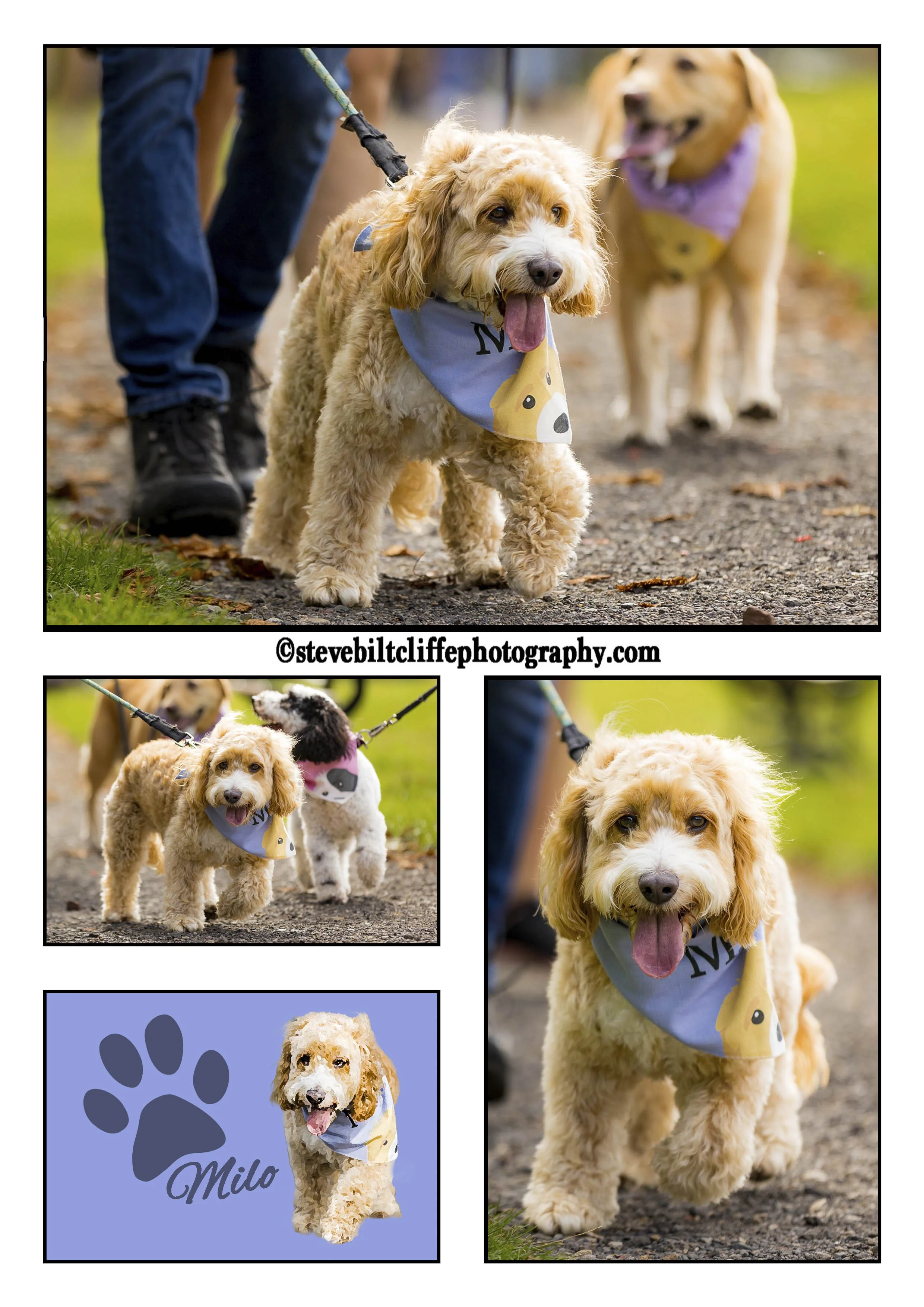 Image Grid 08 copy.jpg