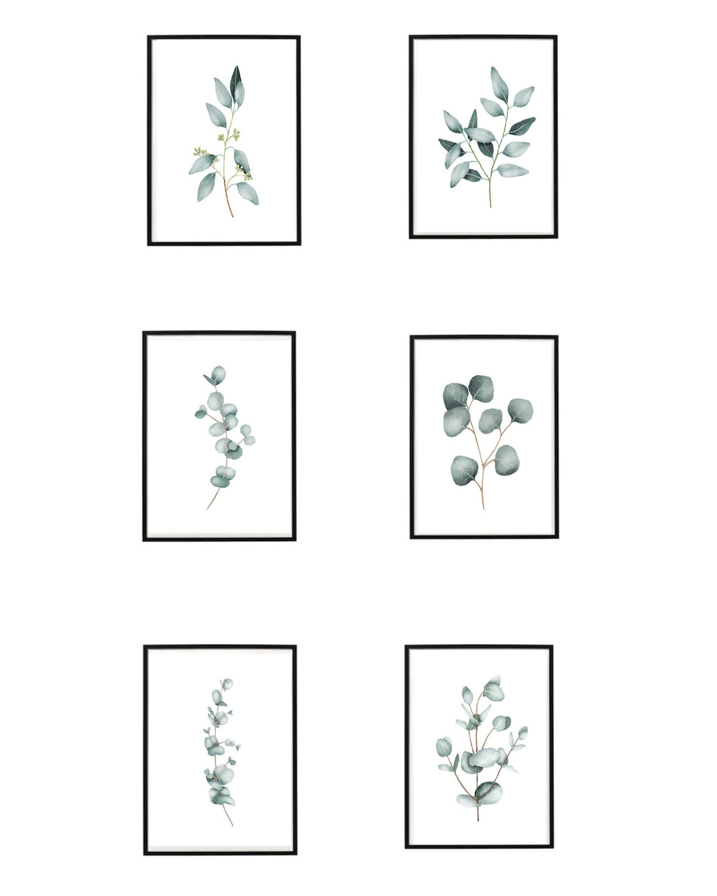 Plant Art Prints.jpg