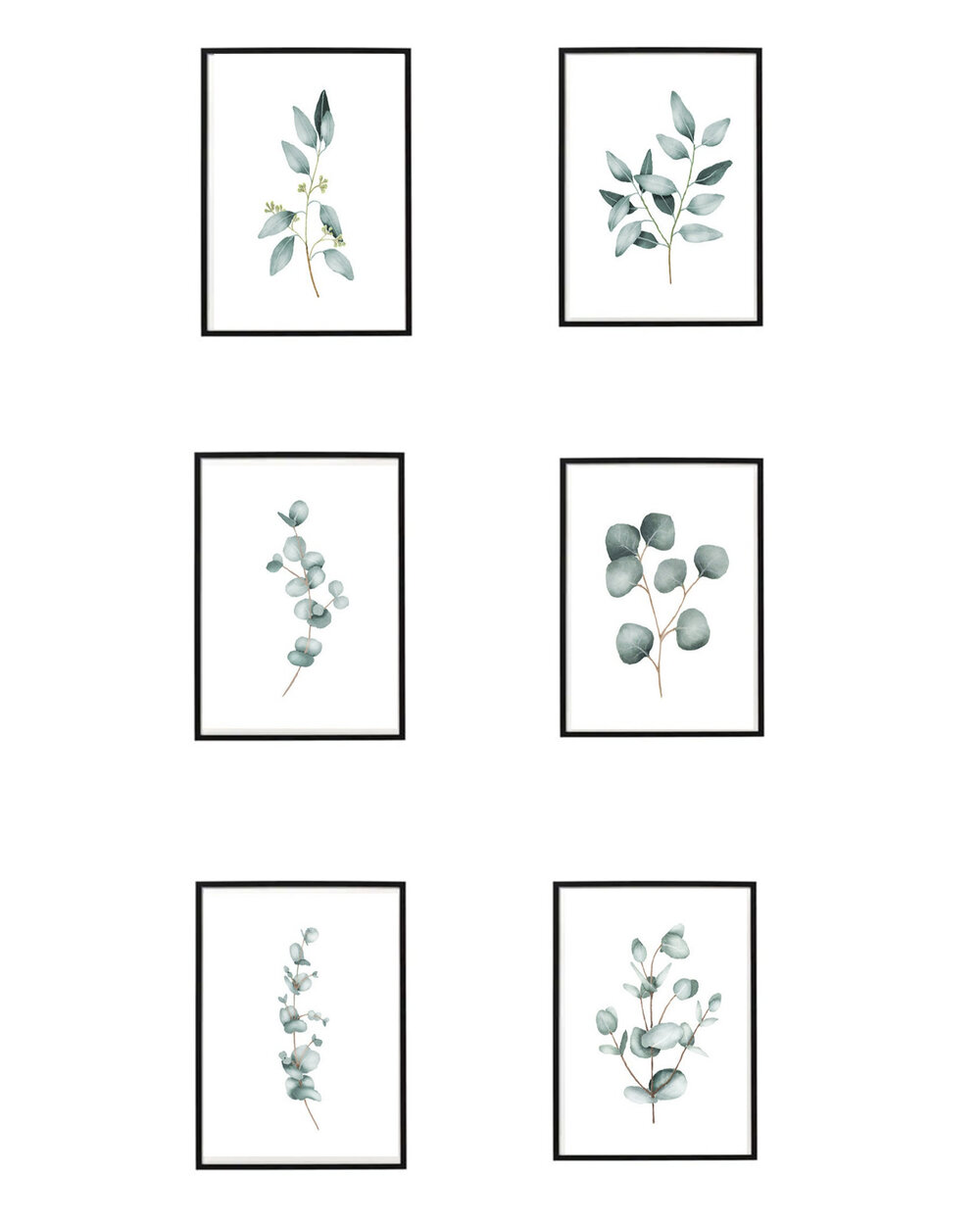 Plant Art Prints.jpg