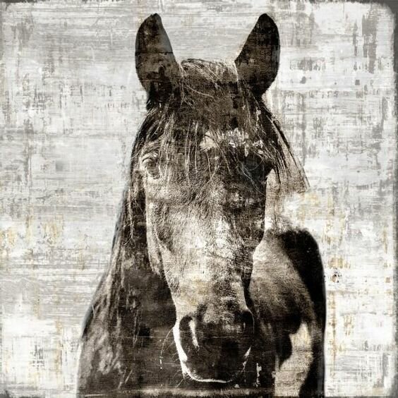 Horse Canvas 2.jpg