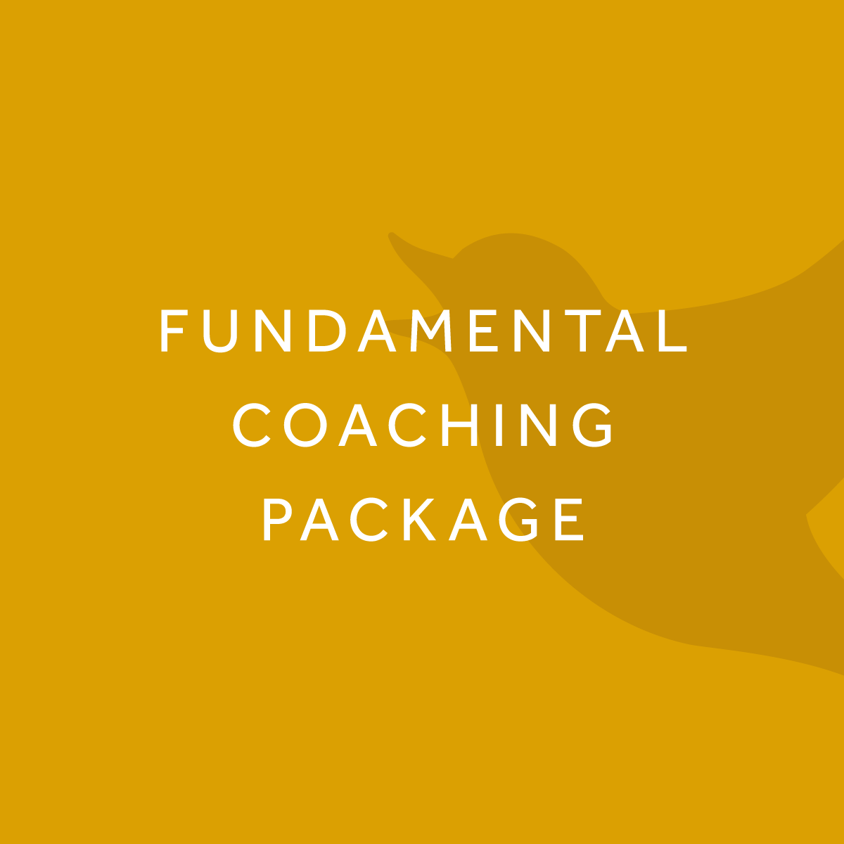 Fundamental-Coaching-Package.png