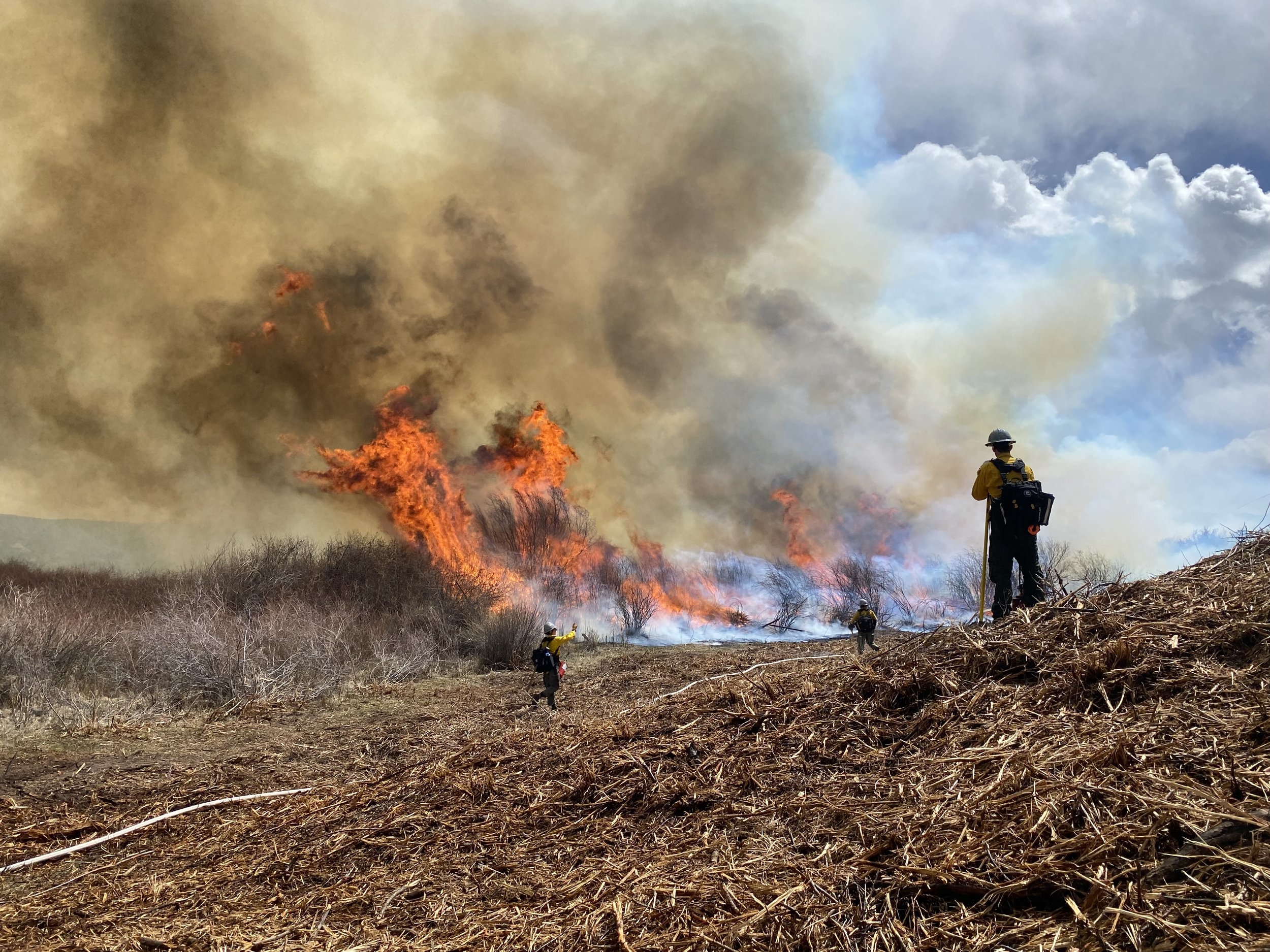 Community WIldfire Protection Plan (CWPP) — Eagle County Community ...