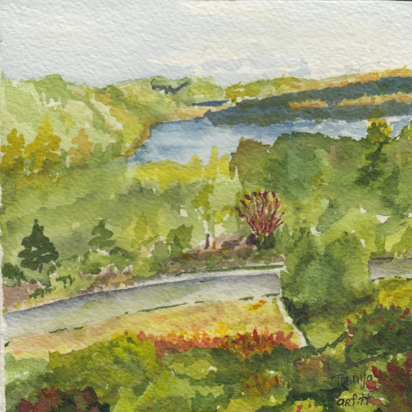 286. "Peaceful Serenity" Tanya Parfitt