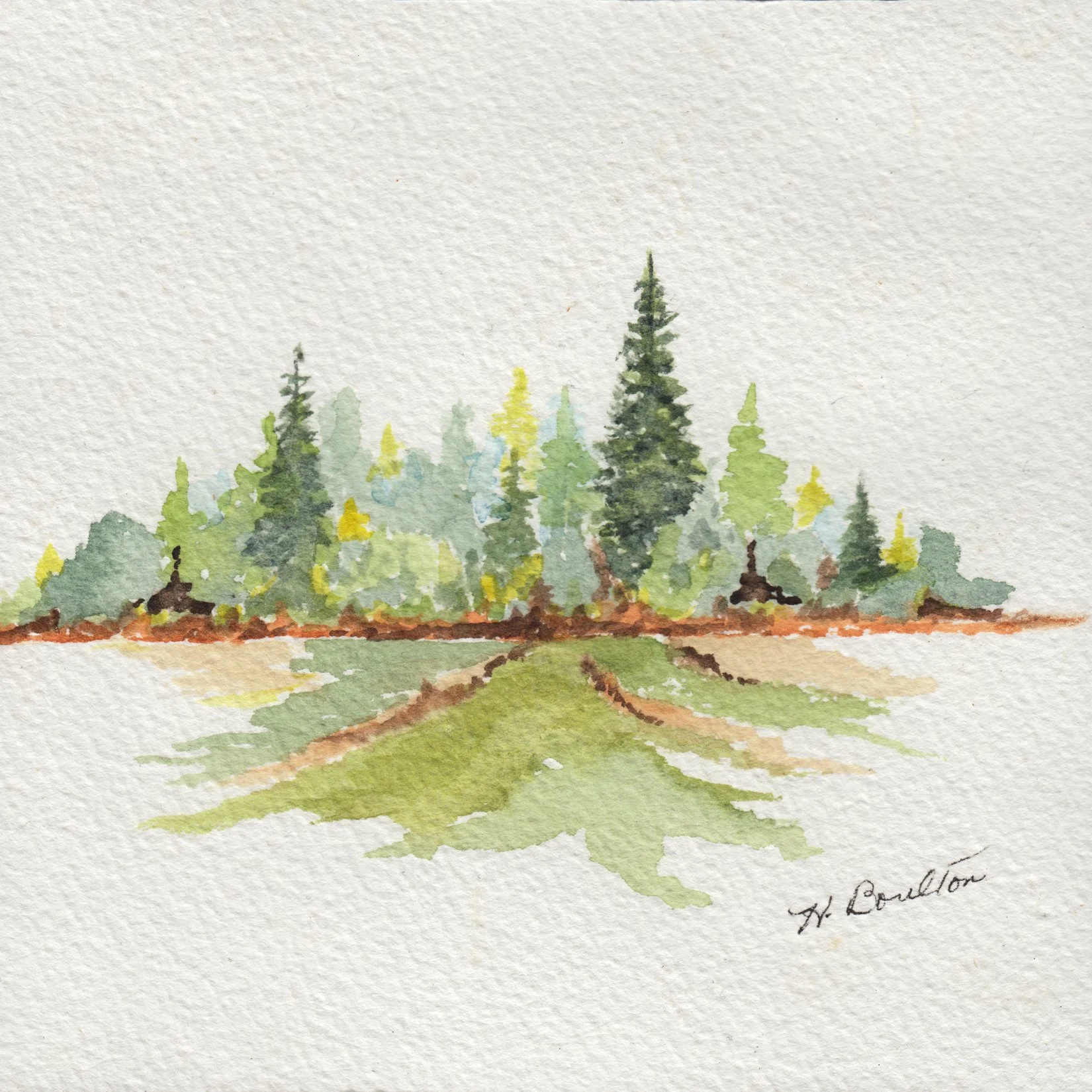 130. "Spring in the Forest" Helen Boulton