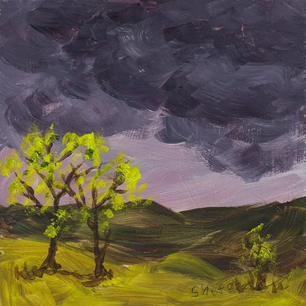 285 - "Storm Coming" - Sara Sheffield