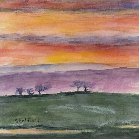 47 - "Evening Light" - Sara Sheffield