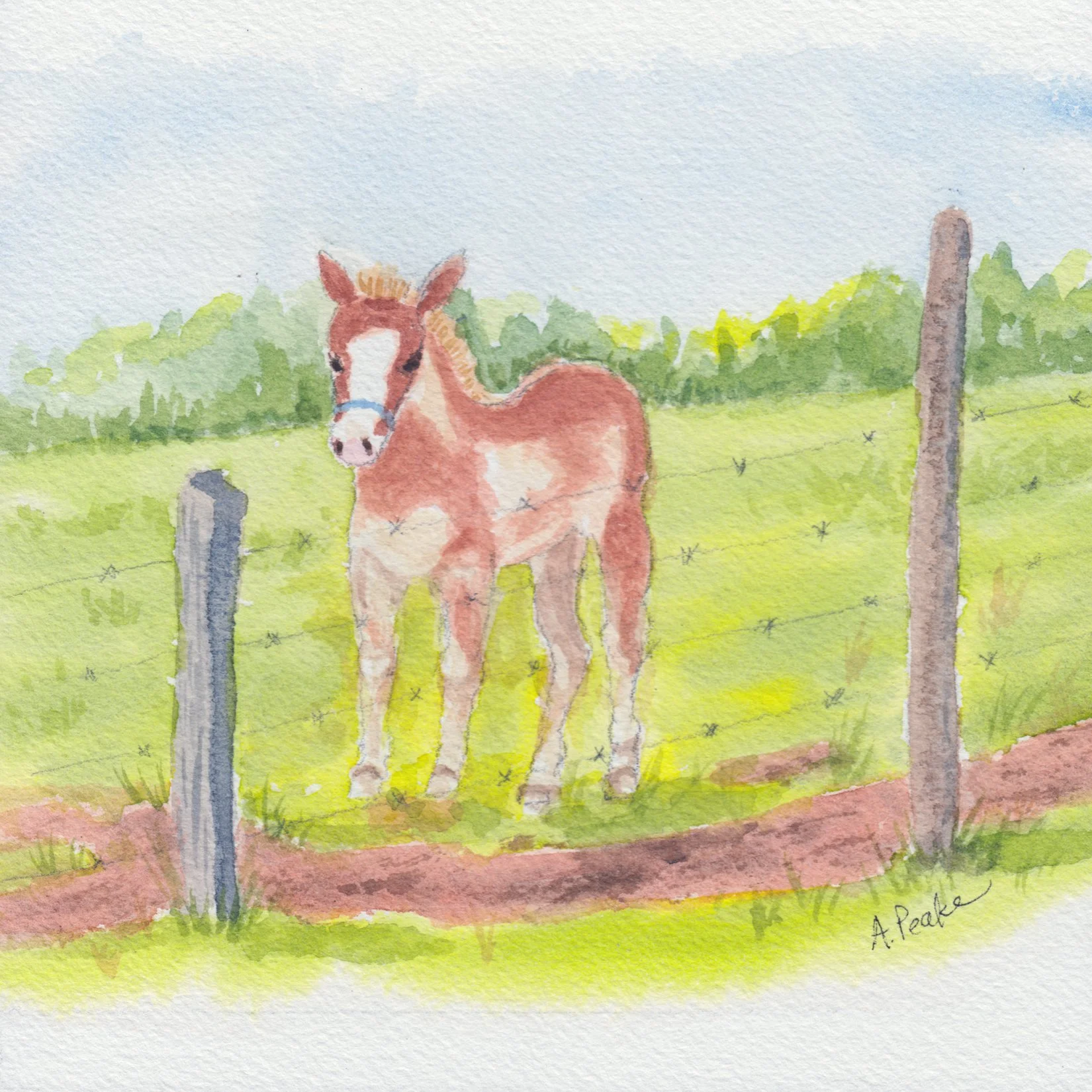 24. "Waiting at the Fence" Audrey Peake