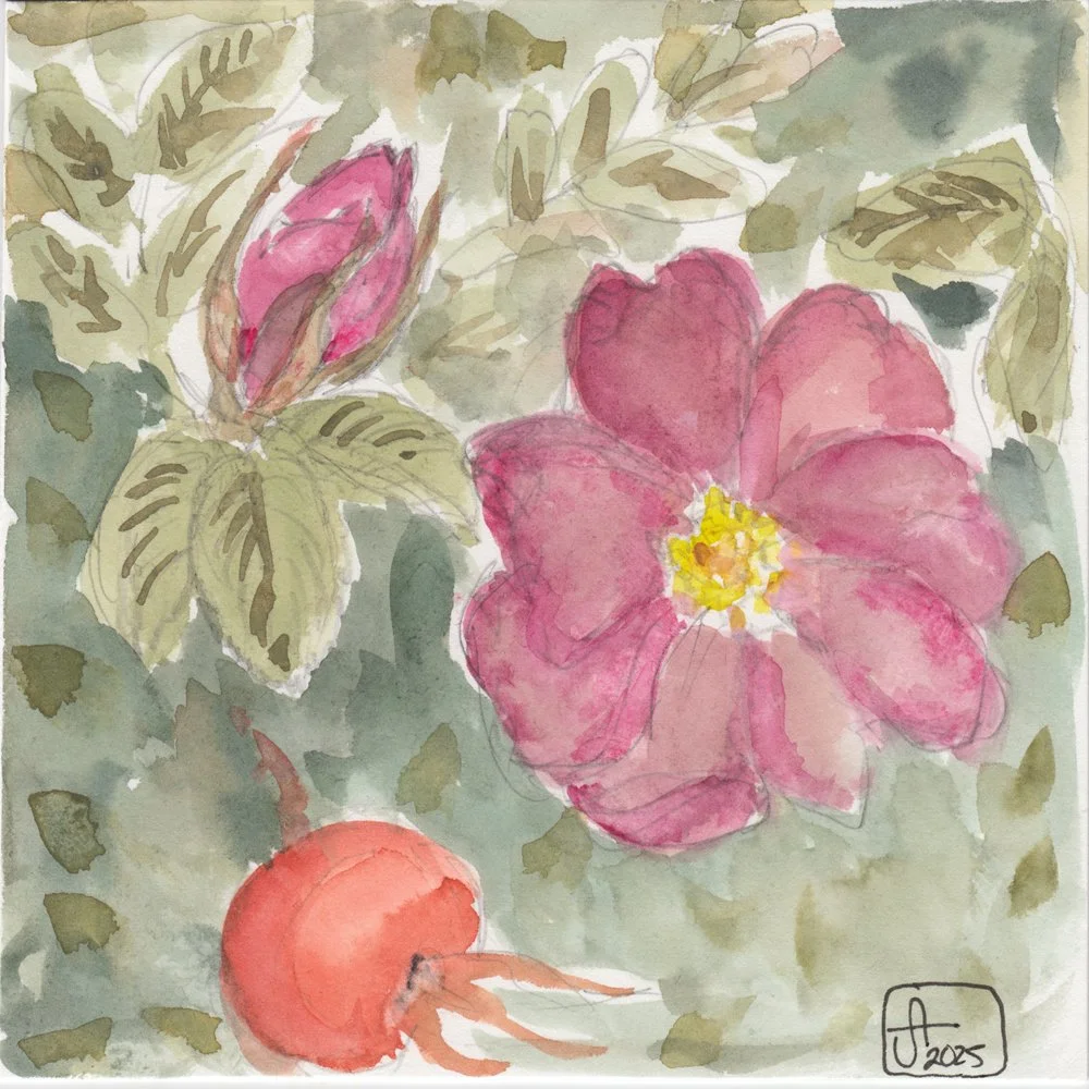 476. "3 Phases of Life" Jacquelyn Shaw