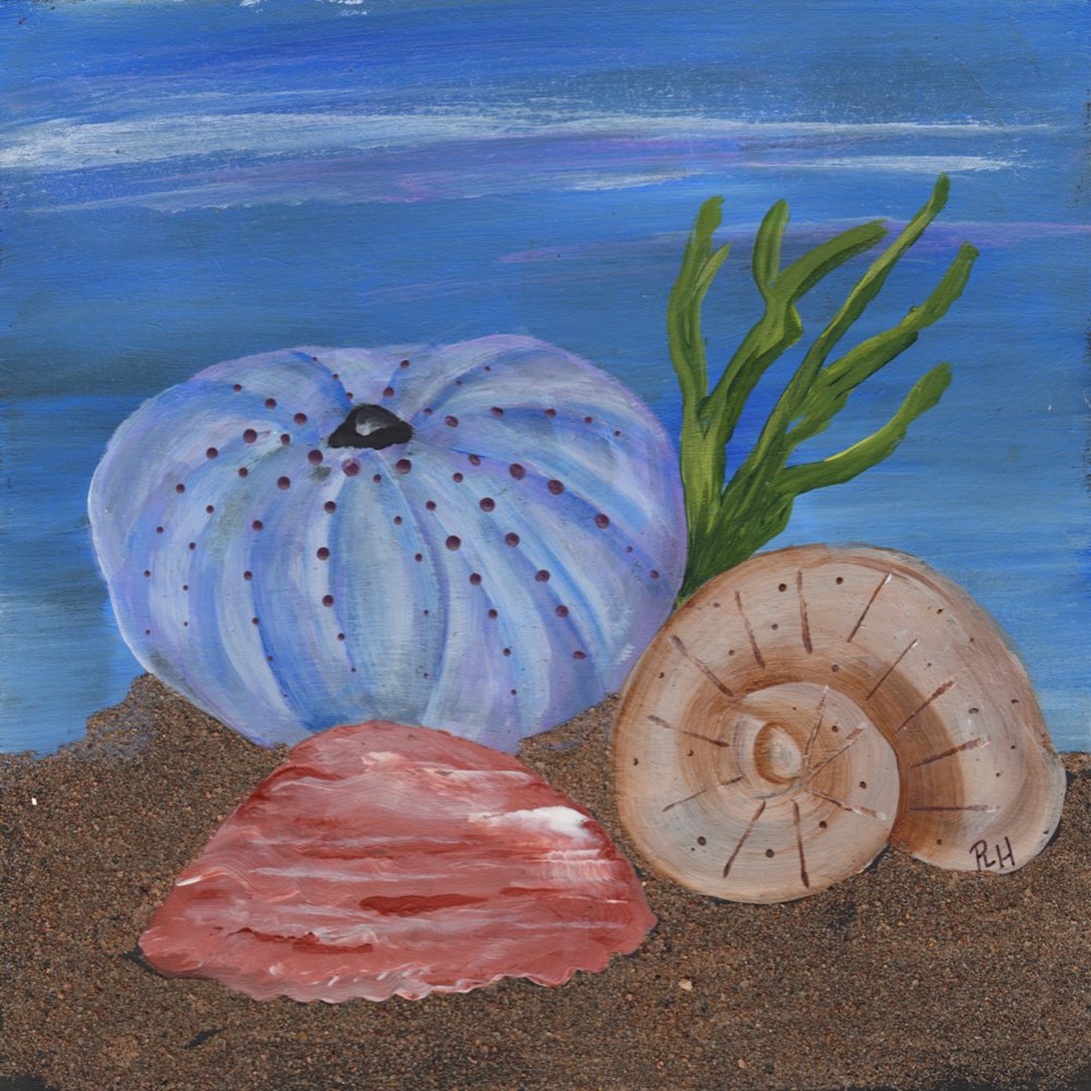 687. "Seashells" Phyllis L. Harvey